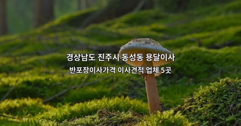 경상남도 진주시 동성동 용달이사 반포장이사가격 이사견적 업체 5곳