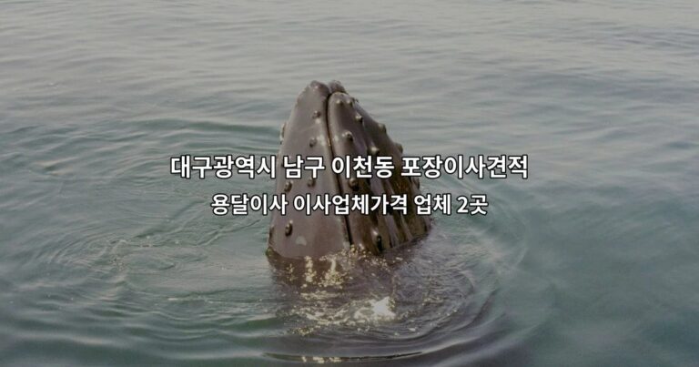 대구광역시 남구 이천동 포장이사견적 용달이사 이사업체가격 업체 2곳