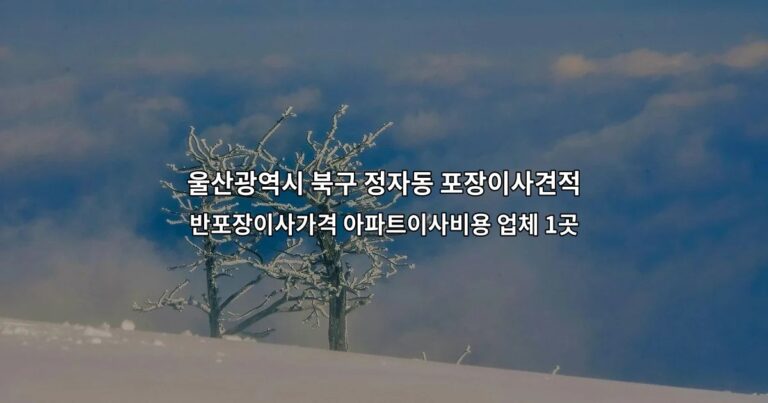 울산광역시 북구 정자동 포장이사견적 반포장이사가격 아파트이사비용 업체 1곳