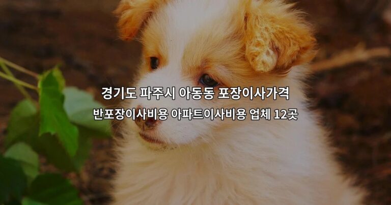 경기도 파주시 아동동 포장이사가격 반포장이사비용 아파트이사비용 업체 12곳